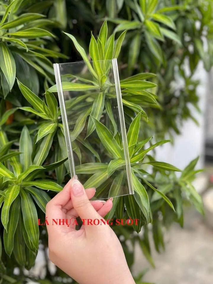 Cửa xếp lá nhựa trong suốt nhà tắm